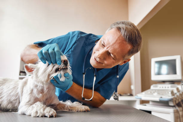 Best Emergency Root Canal Treatment in Independence, OH